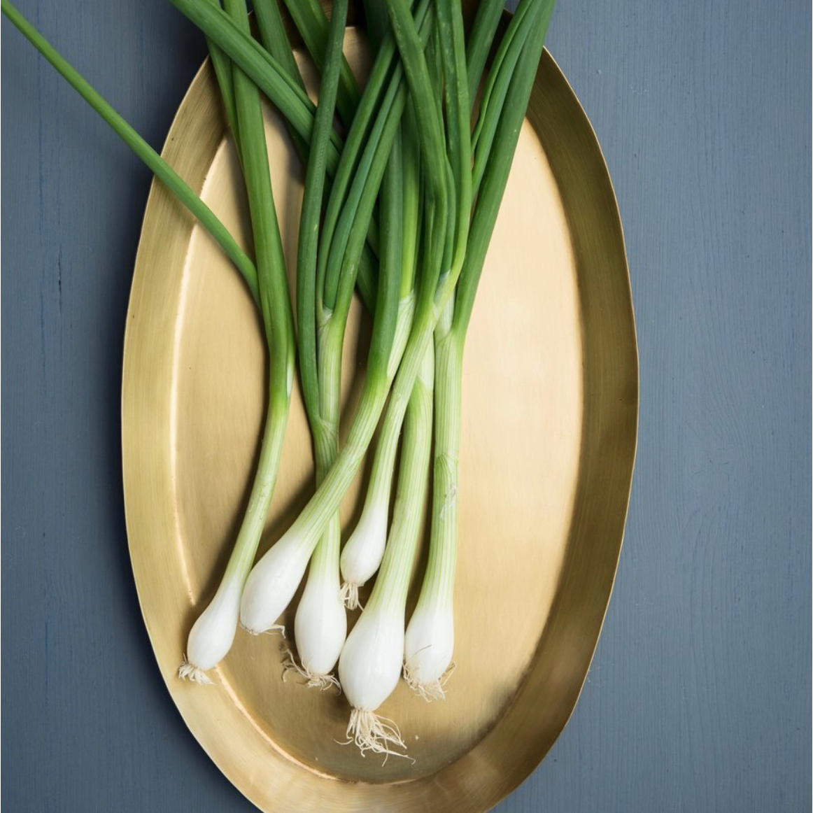 SALE! Large Oval Brass tray with handles - Ruby Lane