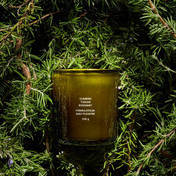 CLIMBING TUSCAN ROSEMARY CANDLE