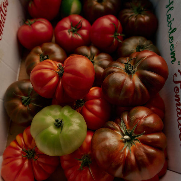 Roma Heirloom Tomato Scented Candle by Flamingo Estate.